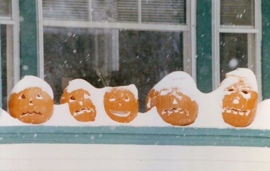 Halloween Blizzard 1991 - Courtesy Star Tribune & Minnesota Historical Society