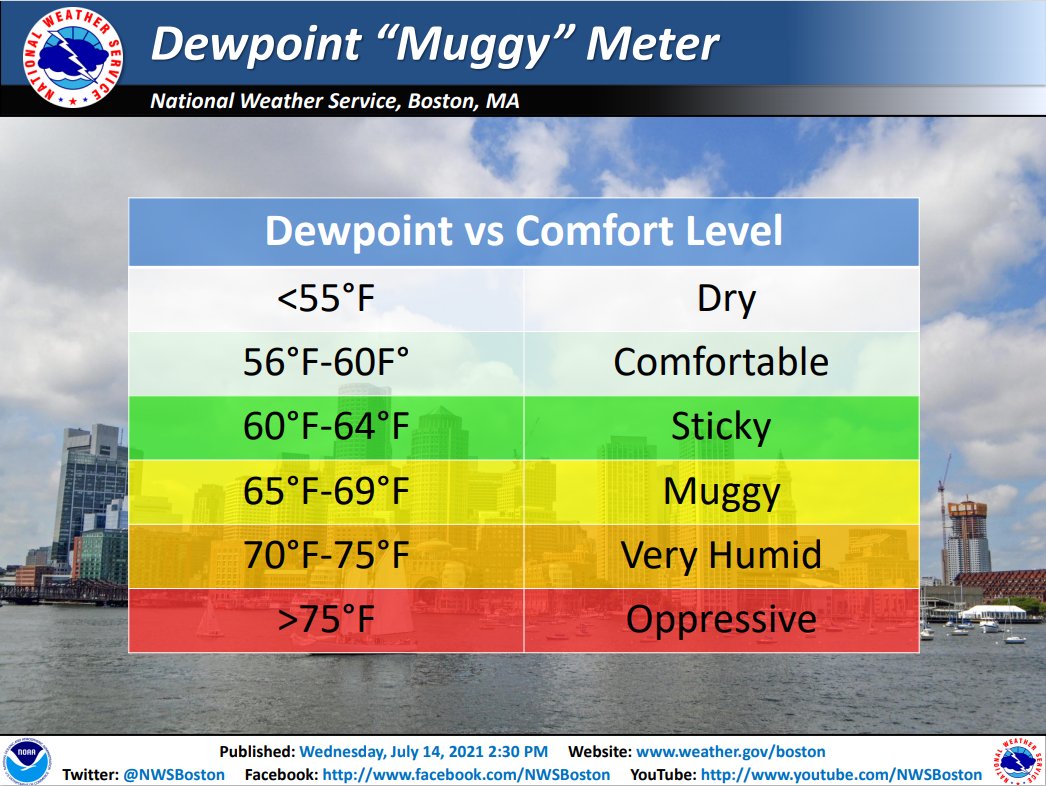 Dewpoint Meter