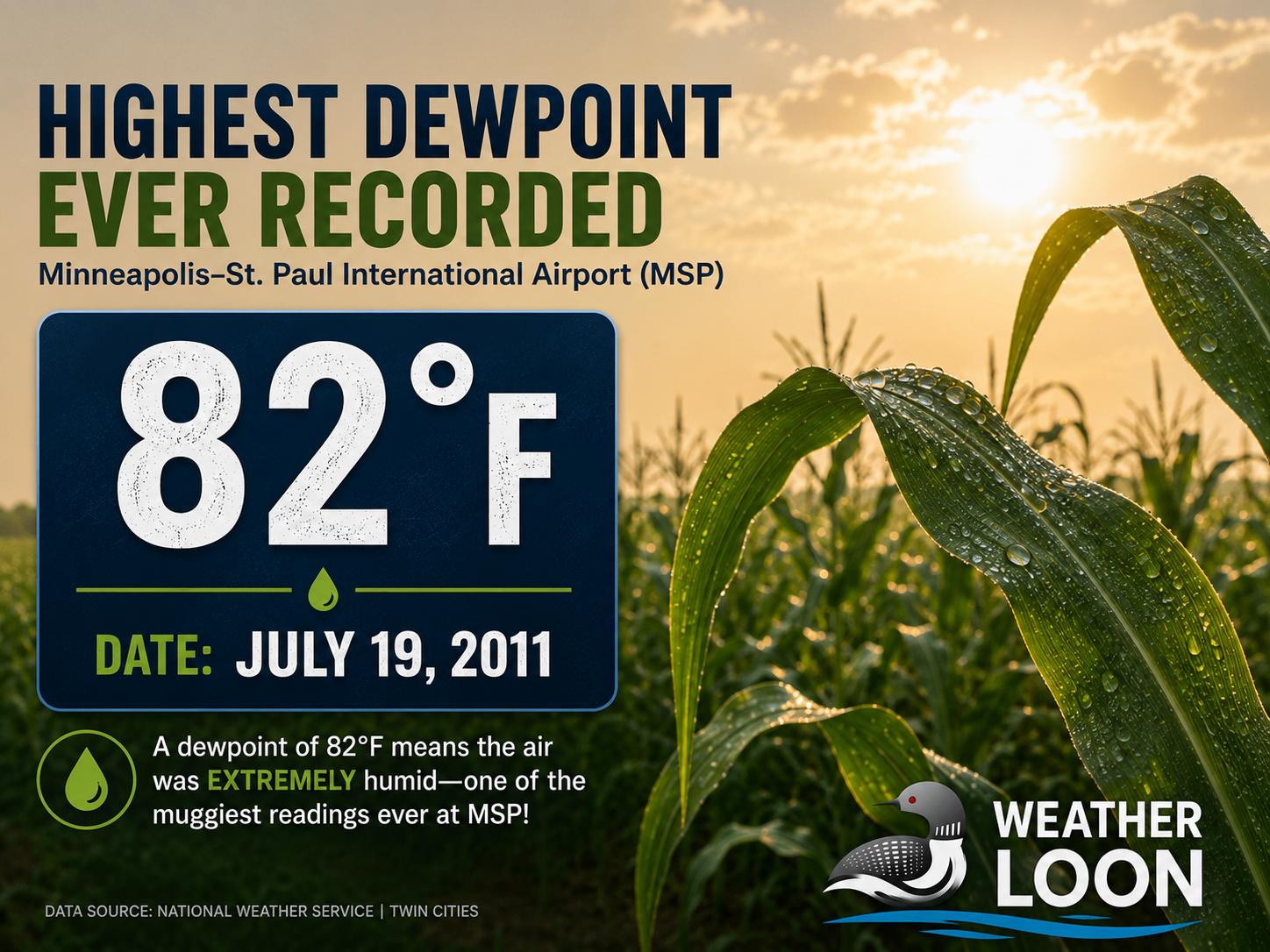 Record Dewpoint at MSP - July 19th, 2011