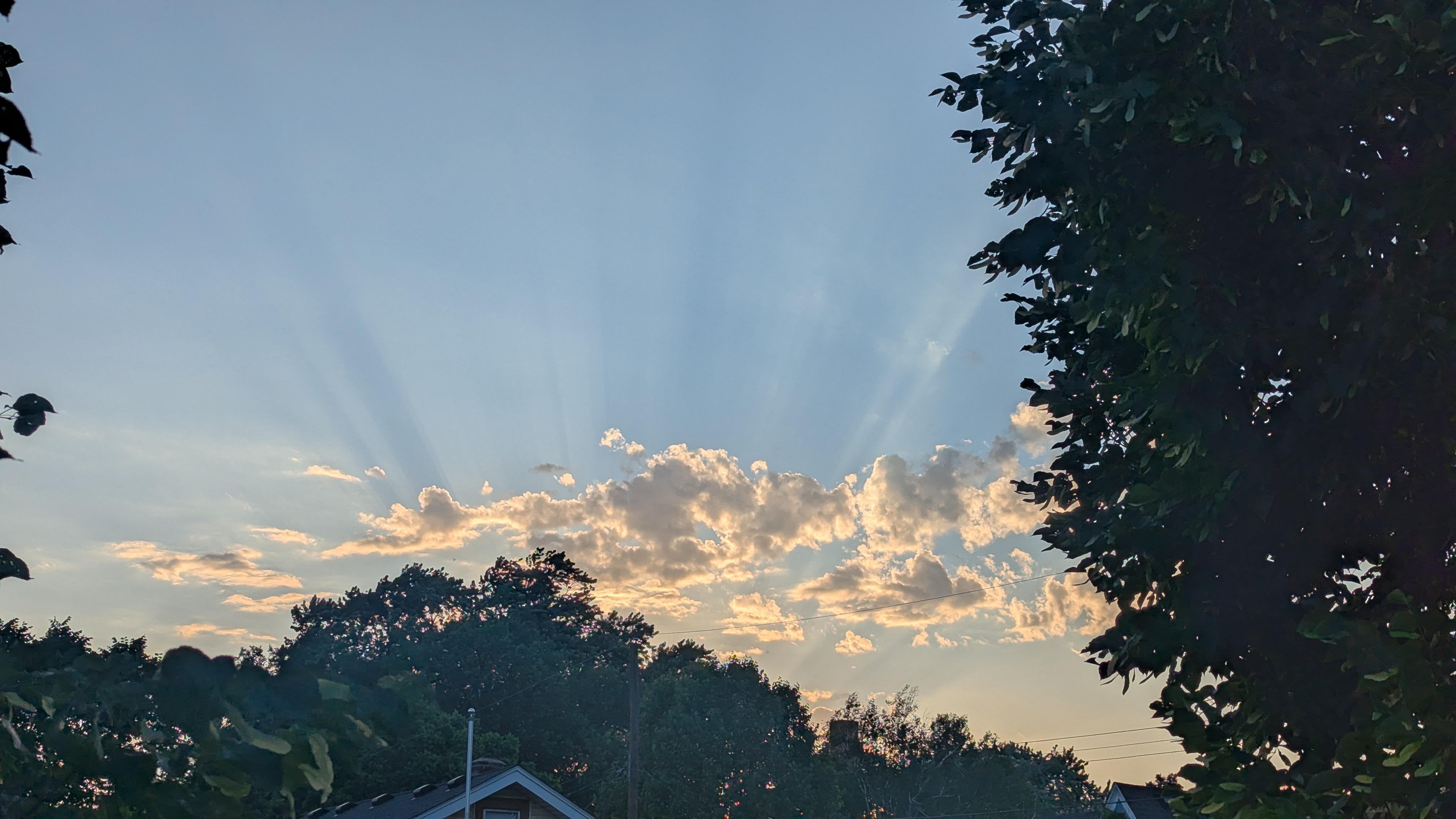 Summer night sky