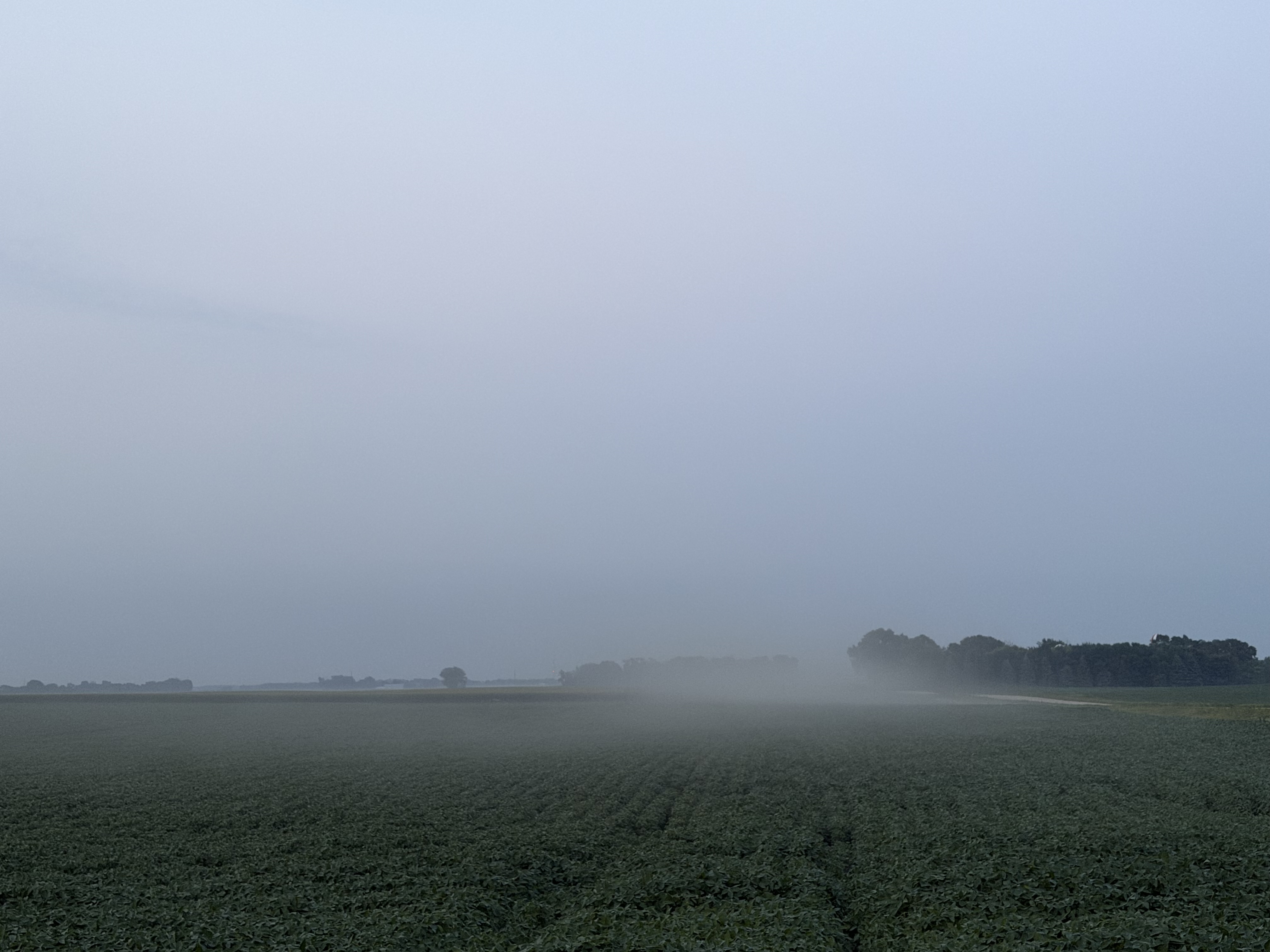 Fog setting on the farm